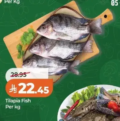Tilapia Fish Per kg