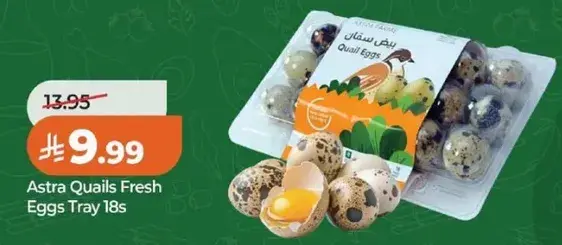 Astra Quails Fresh Eggs Tray 18s