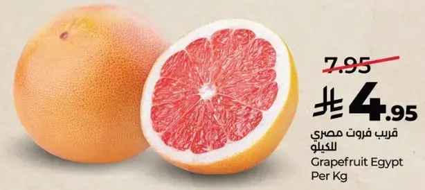Grapefruit Egypt Per Kg