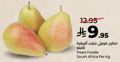 Pears Forelle South Africa Per Kg