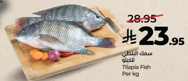Tilapia Fish Per kg