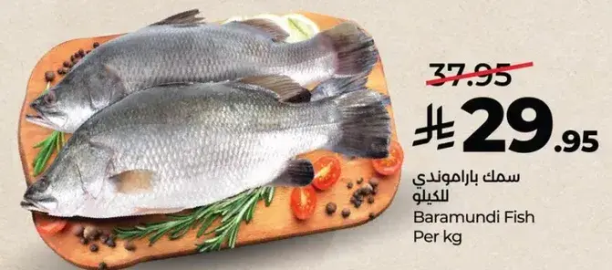 Baramundi Fish Per kg