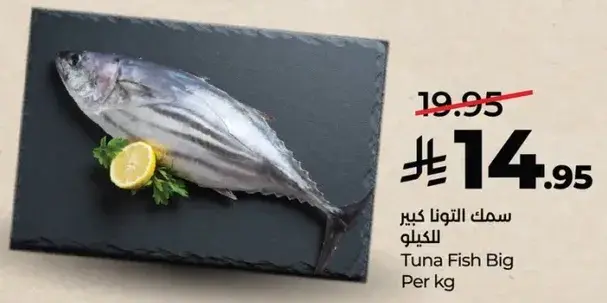Tuna Fish Big Per kg