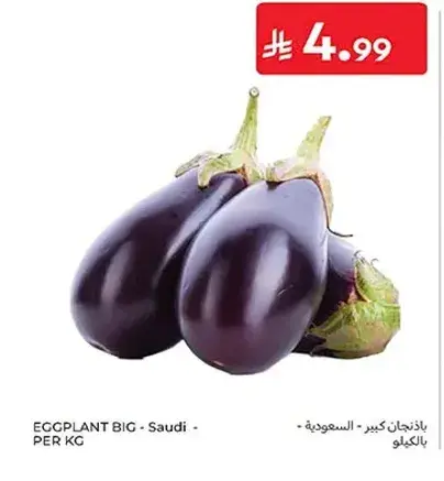 Eggplant Big - Saudi - PER KG
