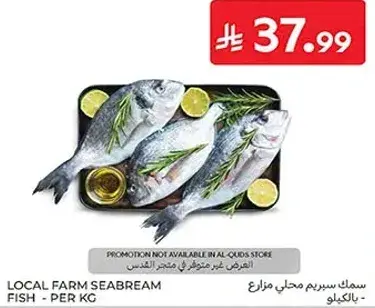 Local farm seabream fish - per kg