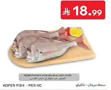 Kofer fish per kg.