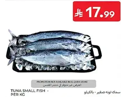 Tuna small fish per kg.