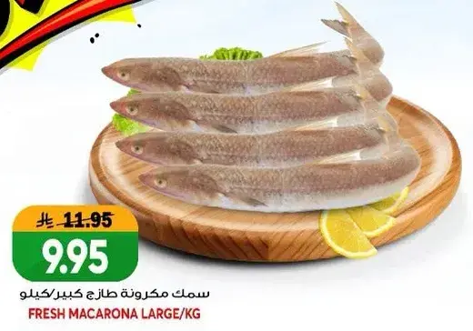سمك مكرونه كبير/كيلو