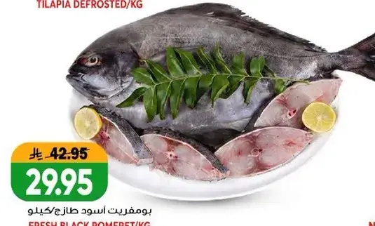 Tilapia Defrosted/KG