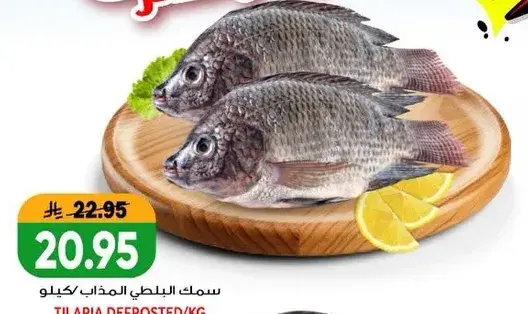 Fresh tilapia, per kg.