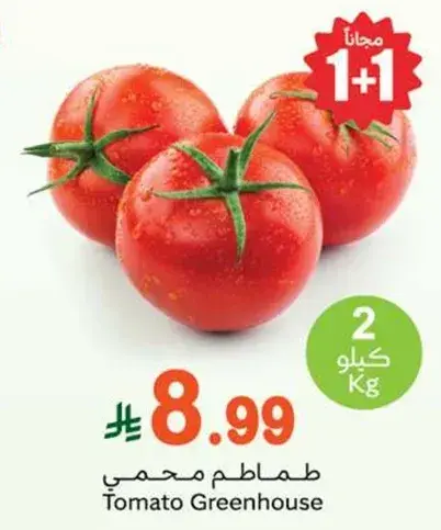 Tomato Greenhouse
