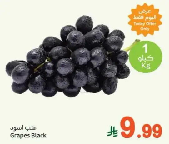 Black Grapes