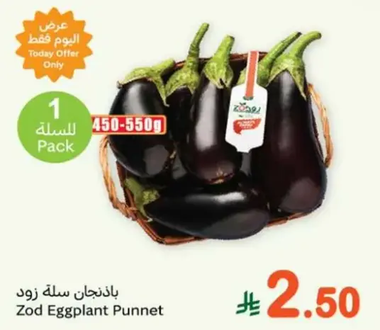 Zod Eggplant Punnet