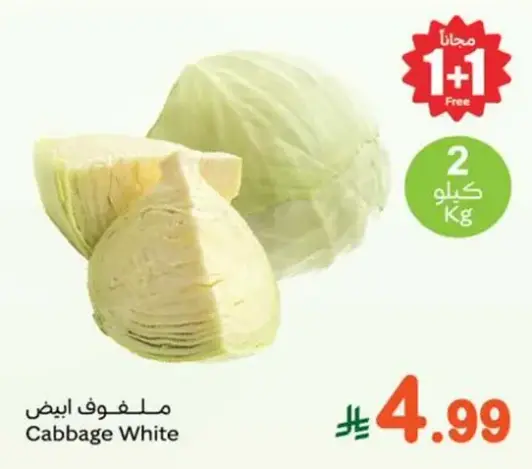 Cabbage White