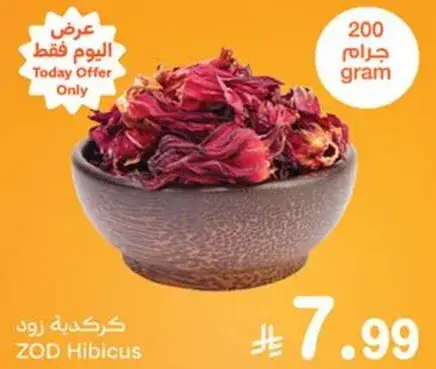 ZOD Hibiscus