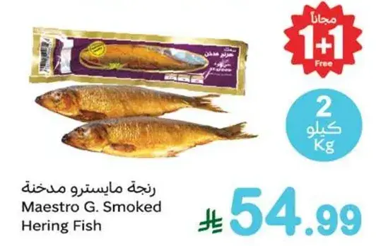 Maestro G. Smoked Hering Fish