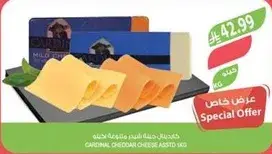 جبنه شيدر كاردينال متنوعه