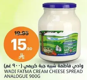 وادي فاطمه شبيه جبنه كريمي 900 غم
