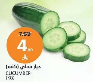 خيار (كغم)