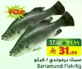 سمك برمندي/كيلو