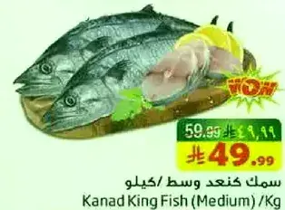 Kanad King Fish (Medium) / Kg
