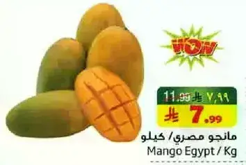 Mango Egypt/Kg