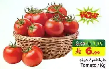 Tomato / Kg
