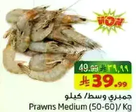 Prawns Medium (50-60) / Kg