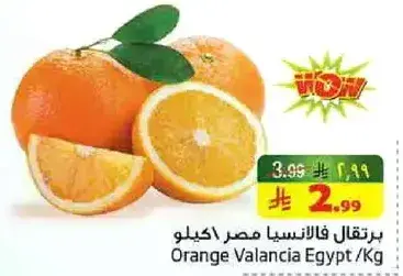 برتقال فالنسيا مصر/كيلو
