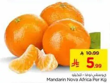 Mandarin Nova Africa Per Kg