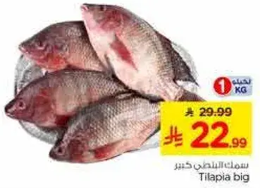 Tilapia Fish Big Per Kg.