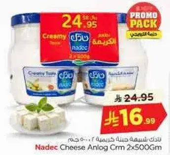 Nadec Cheese Analog Cm 2x500g