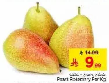 كمثري روزماري للخليج