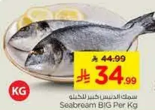 Seabream BIG Per Kg