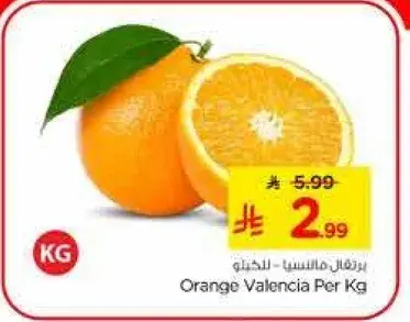 برتقال فالنسيا للكيلو