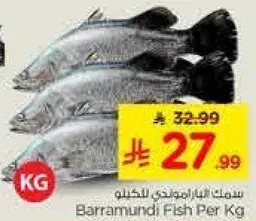 Barramundi Fish Per Kg