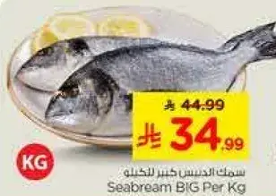 Seabream BIG Per Kg