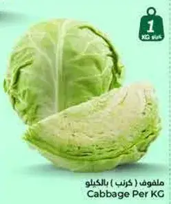 ملفوف (كرنب) بالكيلو