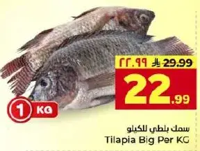 سمك بلطي للكيلو