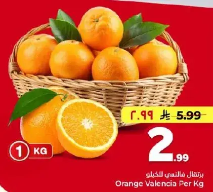 برتقال فالنسي للكيلو