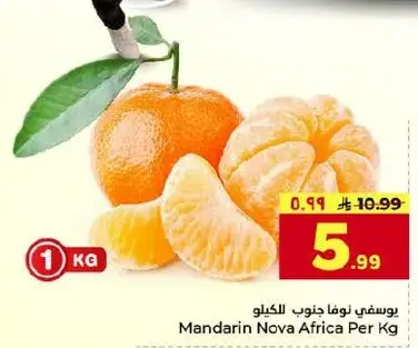 يوسفي نوفا جنوب افريقيا