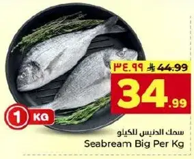 Seabream Big Per Kg