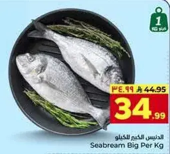 سمك الدنيس كجم للكيلو