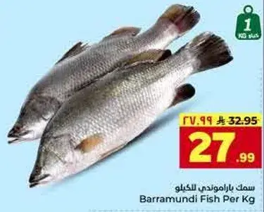 سمك باراموندي كجم للكيلو