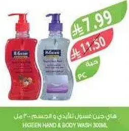 HGreen Hand & Body Wash 300ml