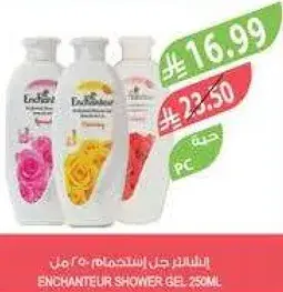 جل استحمام انشانتير 250 مل