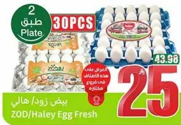 بيض زود/هالي طازج, 30 قطعه.