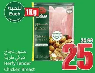 صدر دجاج هرفي طري.