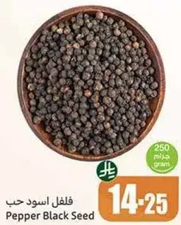 فلفل اسود حب