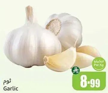 ثوم